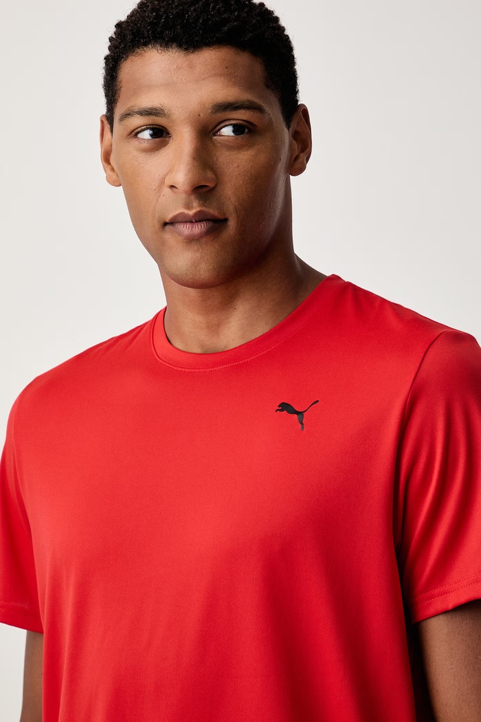 Puma футболка для тренировки для мужчин Essentials Solid cat Tee красный 525908