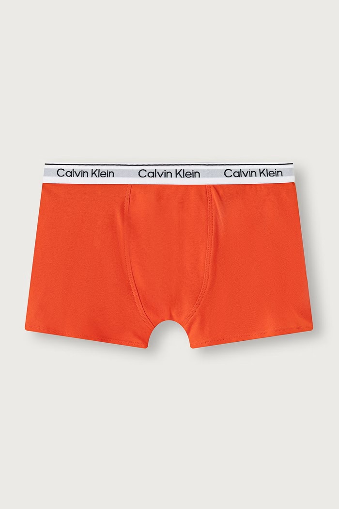 Chłopiec Calvin Klein Underwear Bokserki dziecięce bawełniane z elastanem 2-pack B70B700506.PPY2 multicolor