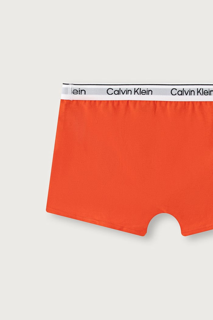 Bokserki dziecięce bawełniane z elastanem 2-pack Calvin Klein Underwear multicolor B70B700506.PPY2