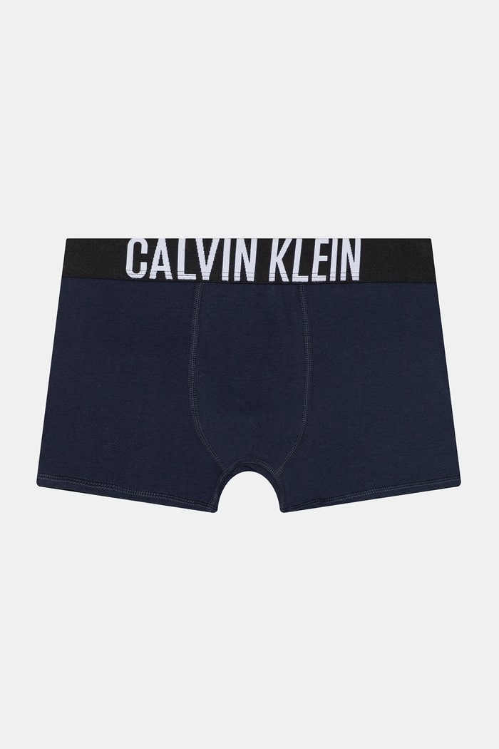Băieți Calvin Klein Underwear boxeri pentru copii bumbac cu elastan pachet de 2 B70B700509.PPY2 bleumarin