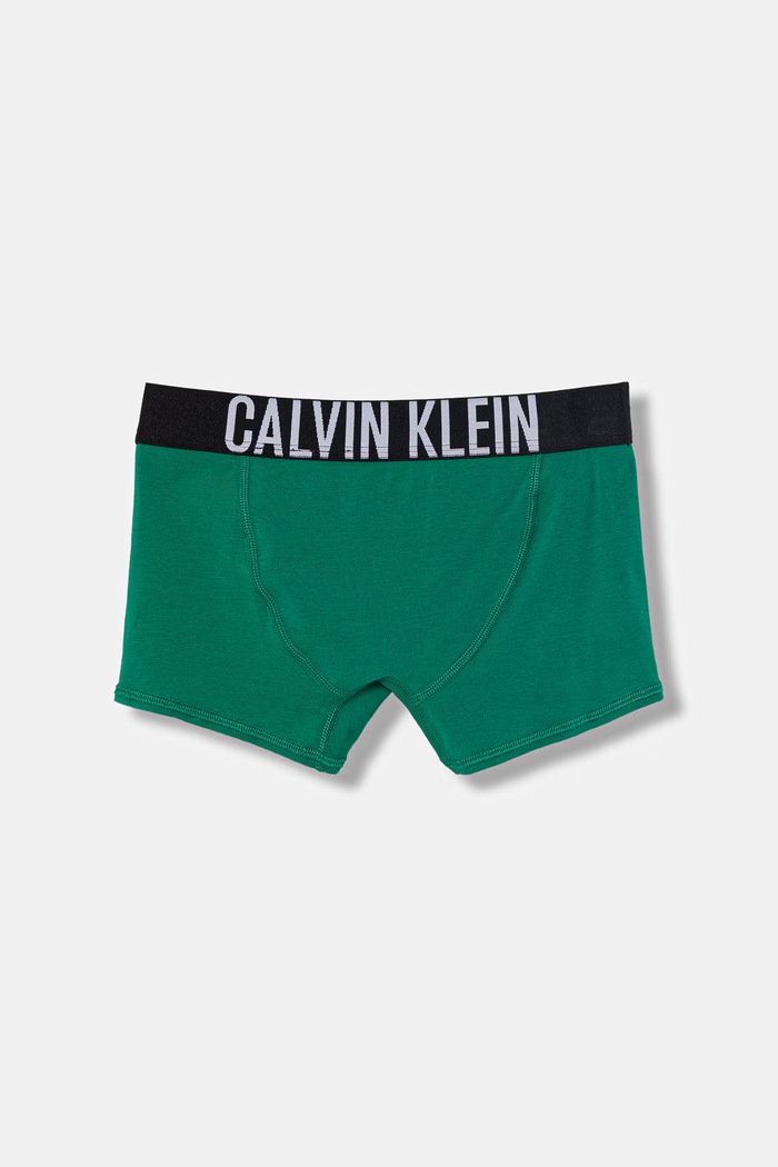 Calvin Klein Underwear boksarice otroške iz bombaža z elastanom paket 2 kosov zelena B70B700509.PPY2