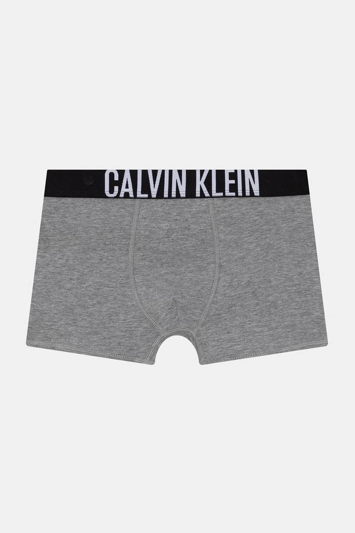 Calvin Klein Underwear boxeri pentru copii din bumbac cu elastan pachet de 2 B70B700509.PPY2 gri SS26