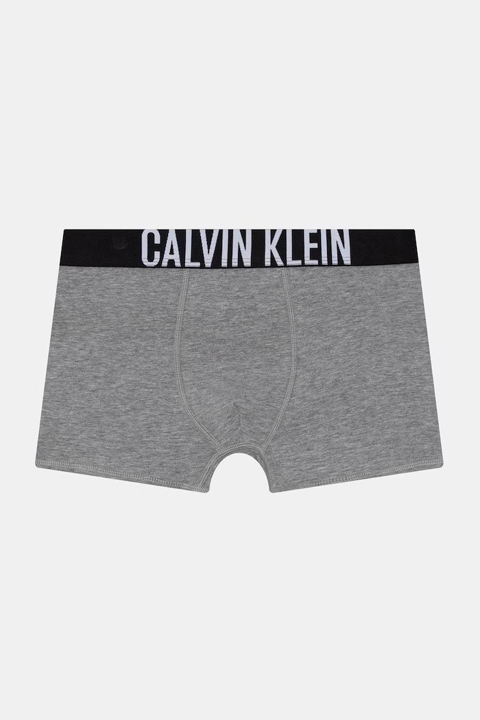 Calvin Klein Underwear boxeri pentru copii din bumbac cu elastan pachet de 2 B70B700509.PPY2 gri SS26