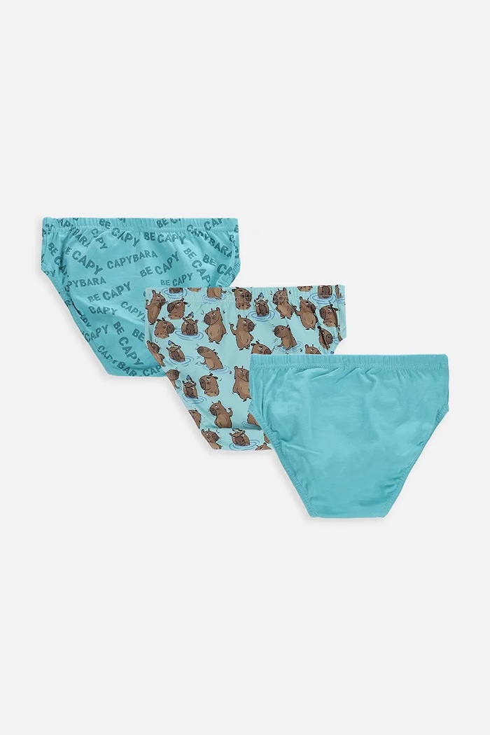 Coccodrillo boxeri pentru copii, din bumbac pachet de 3 WC6409301PAN turcoaz SS26