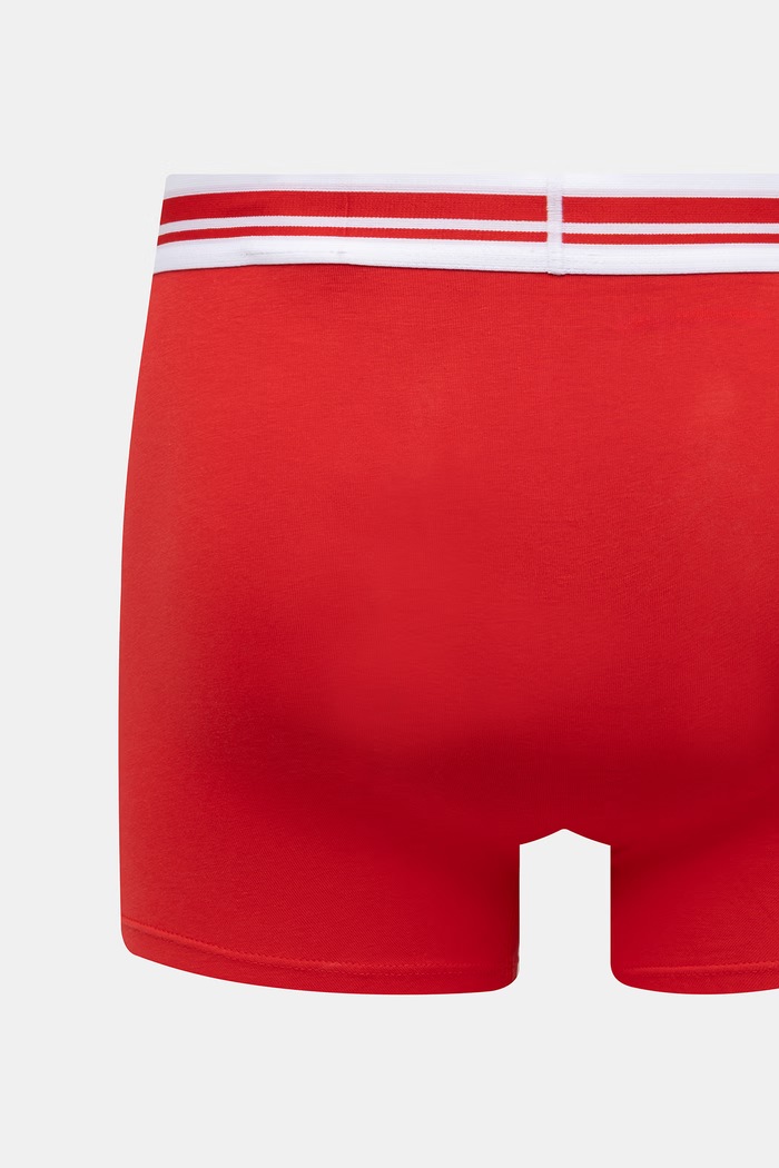 Boxerky Puma Everyday Logo 2-pak červená 938476