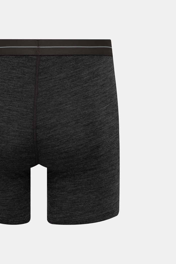 Boxerky Icebreaker Anatomica IB1030290111 sivá SS26