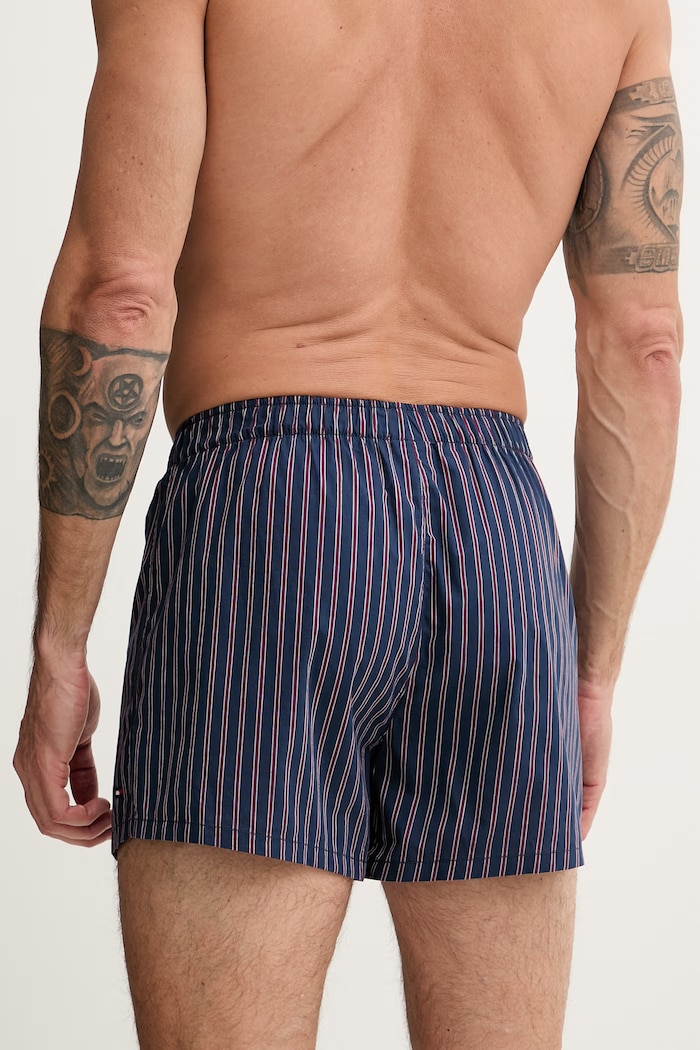 Tommy Hilfiger boxeri pentru bărbați, din bumbac pachet de 3 UM0UM03898 albastru