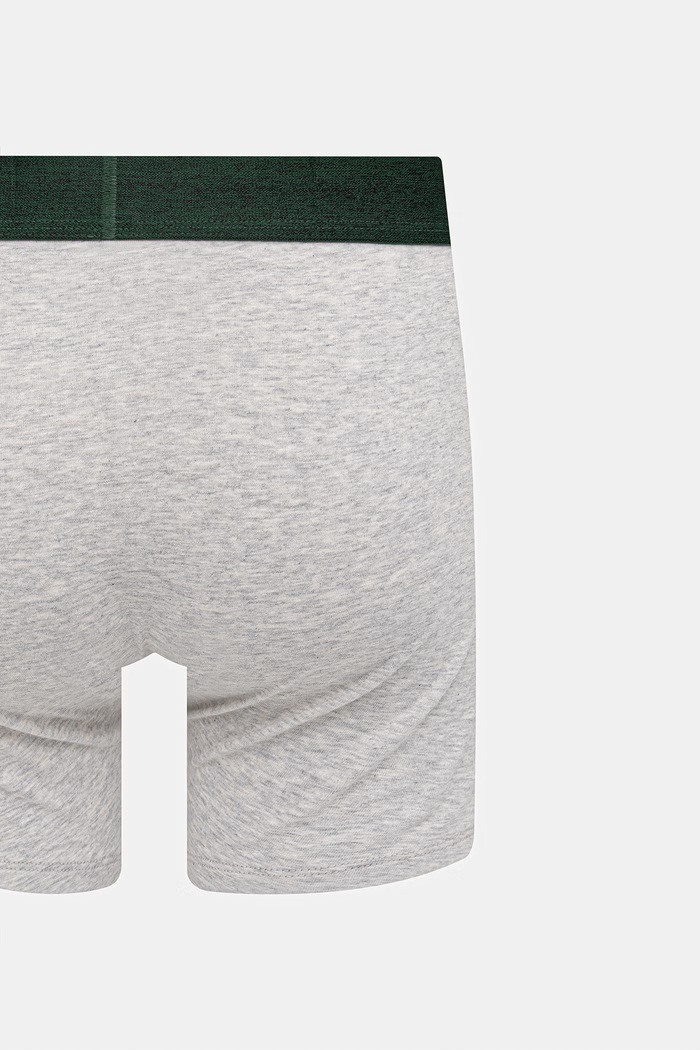 Levi's μποξεράκι ανδρικό βαμβακερό με ελαστάν 2-pack 37149.1296 γκρί