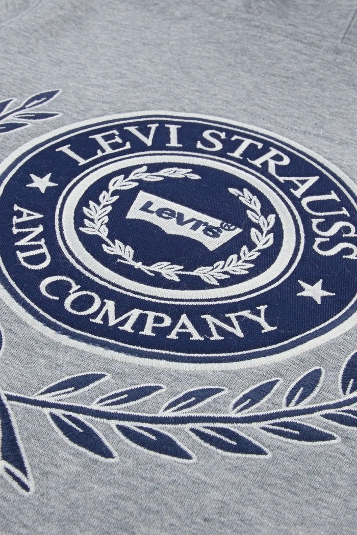 Detská mikina Levi's MODERN CREST HOODIE sivá 9EP587