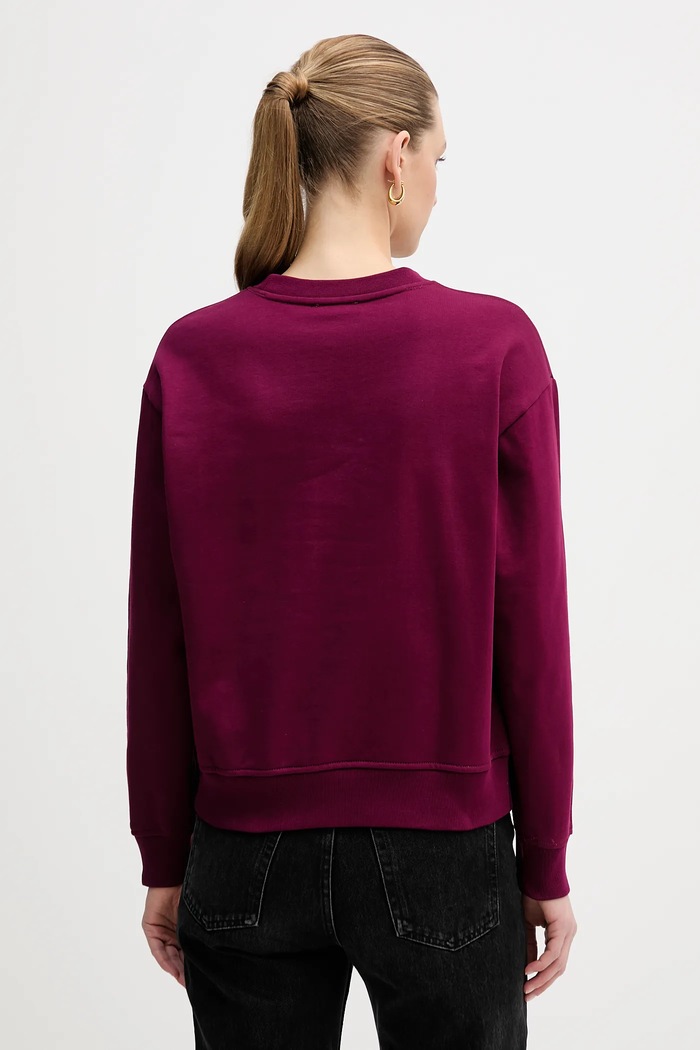 Oblečení Mikina Calvin Klein Jeans LV047E825G fialová