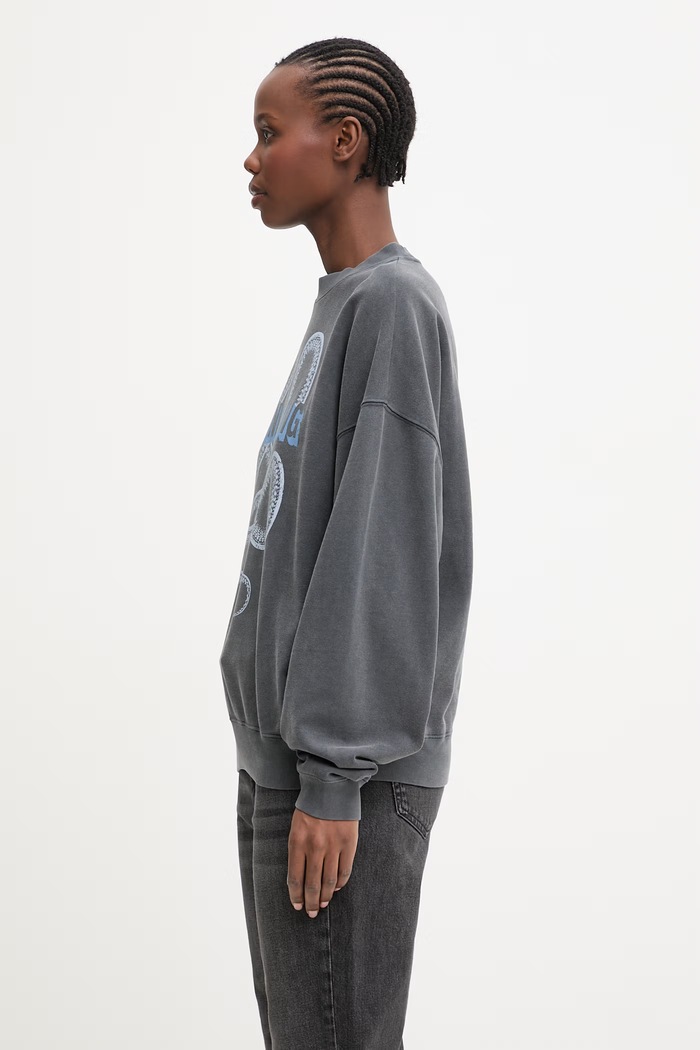 Anine Bing Harvey oversize dukserica od pamuka za žene A.08.12060 siva SS26