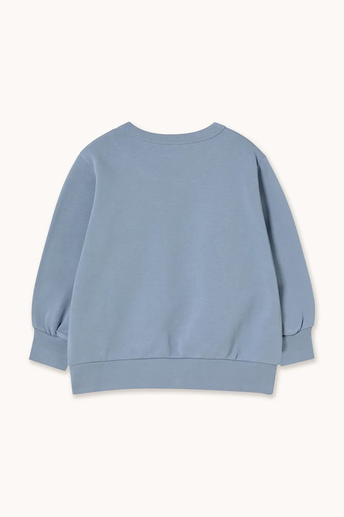 Dječaci Dječja pamučna dukserica Tinycottons TINY DOG GRAPHIC SWEATSHIRT SS26.158 plava