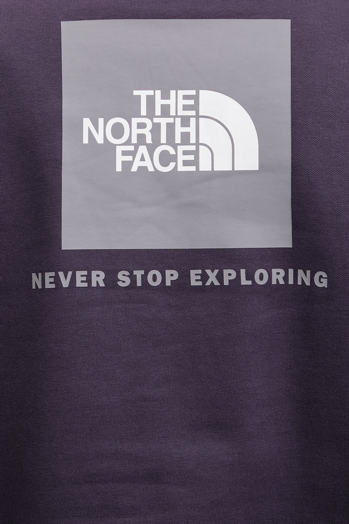 Mikina The North Face Raglan Redbox NF0A89F9G5O1