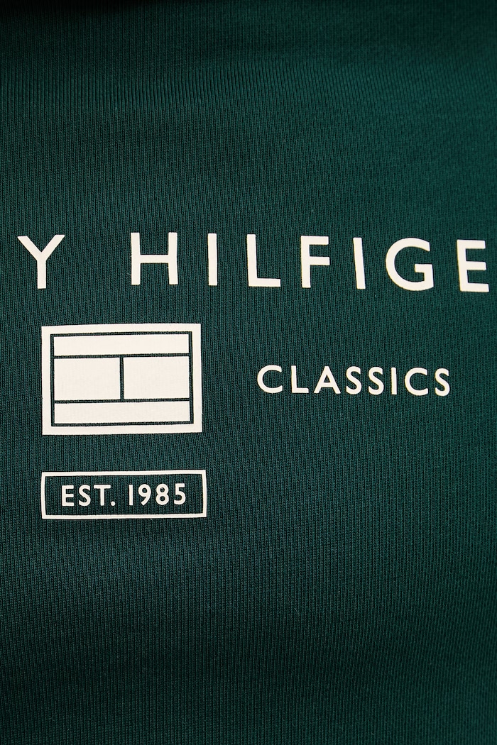 Tommy Hilfiger mikina s kapucňou pánska bavlnená MW0MW42464 zelená
