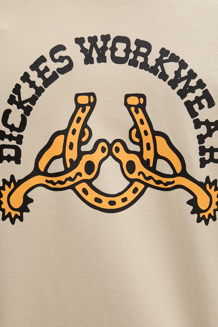 Dickies bluza z kapturem męska z bawełną DK0A885IL441 zielony