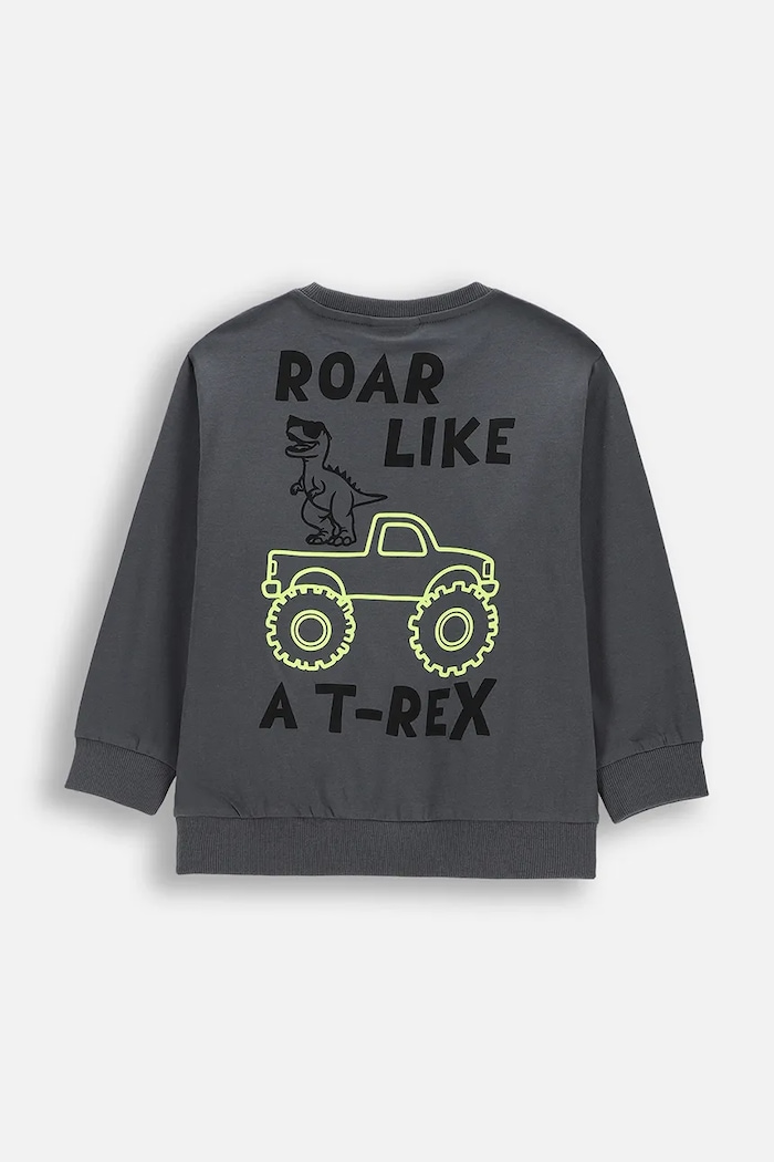 Coccodrillo longsleeve bawełniany dziecięcy WC6143103NBK szary SS26