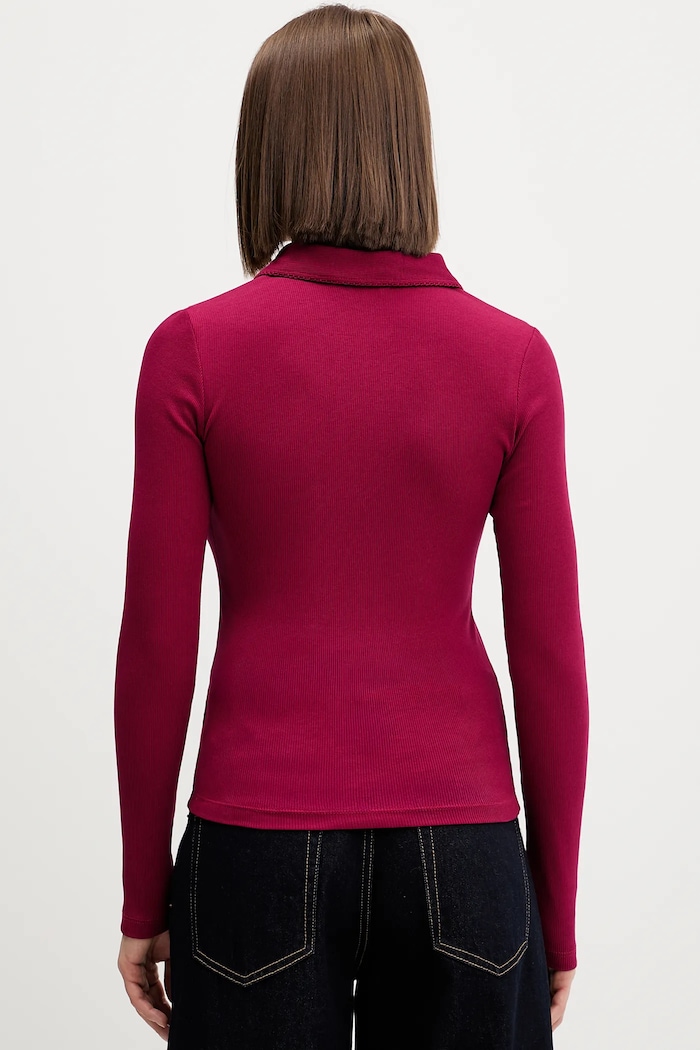 Oblečení Tričko s dlouhým rukávem Tommy Jeans DW0DW21933 burgundské