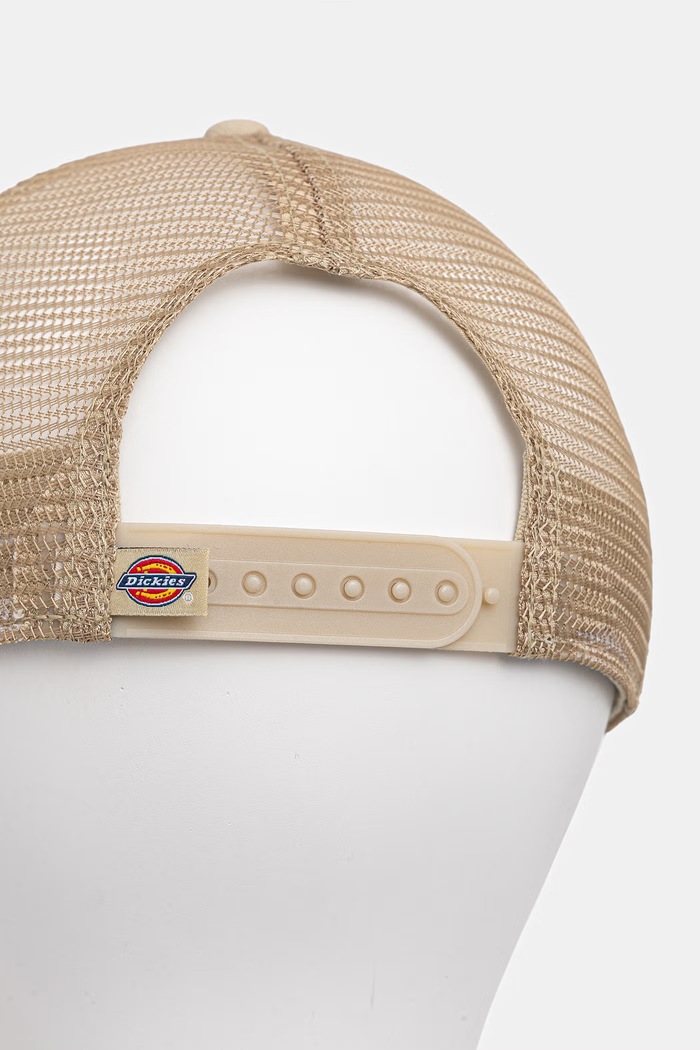 Kiegészítők Dickies baseball sapka DK0A4YV3L441 bézs