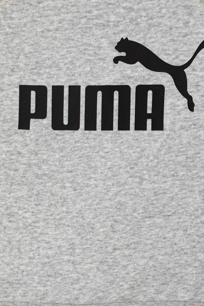 Мальчик Puma спортивный комплект для детей ESS 686280.PPY2 серый