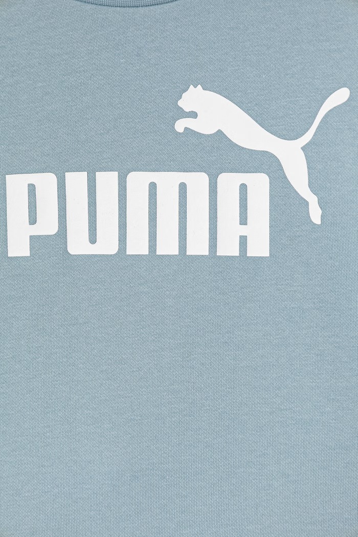 Мальчик Puma спортивный комплект для детей ESS 686280.PPY2 голубой