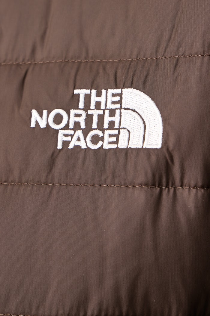 Puhovka moška Classic Down The North Face NF0A8D1TNMF1 rjava