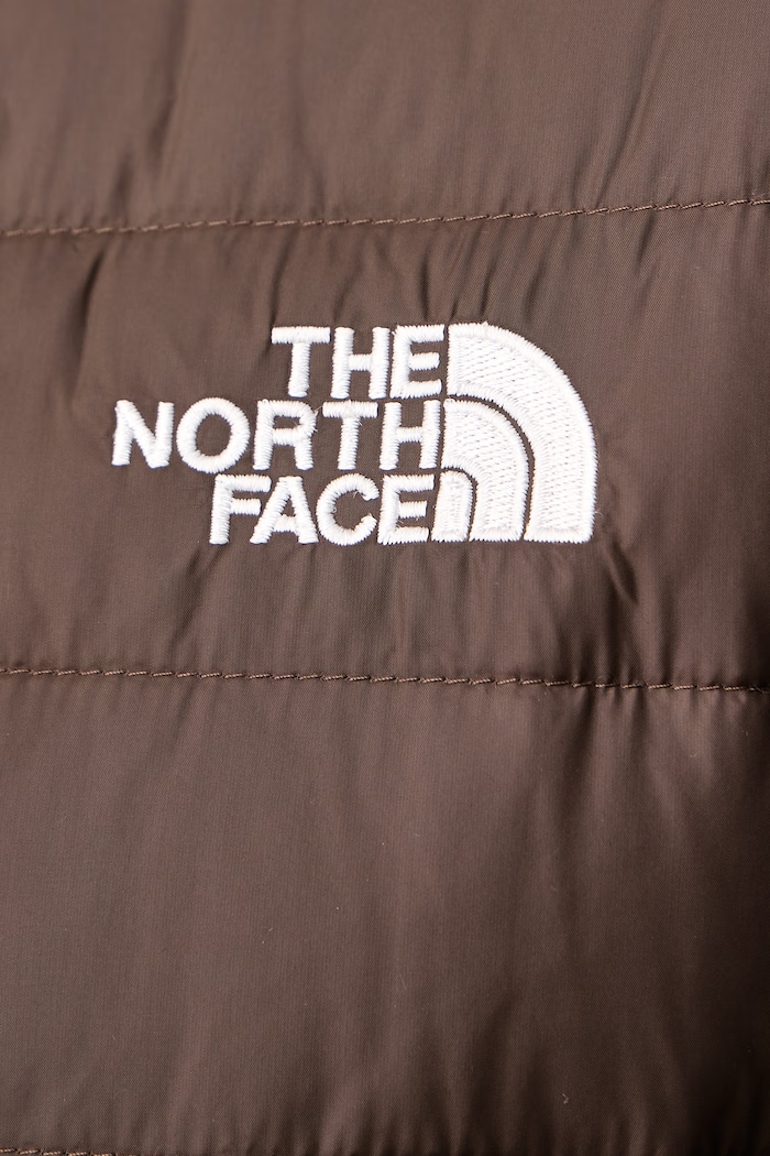 Puhovka moška Classic Down The North Face NF0A8D1TNMF1 rjava