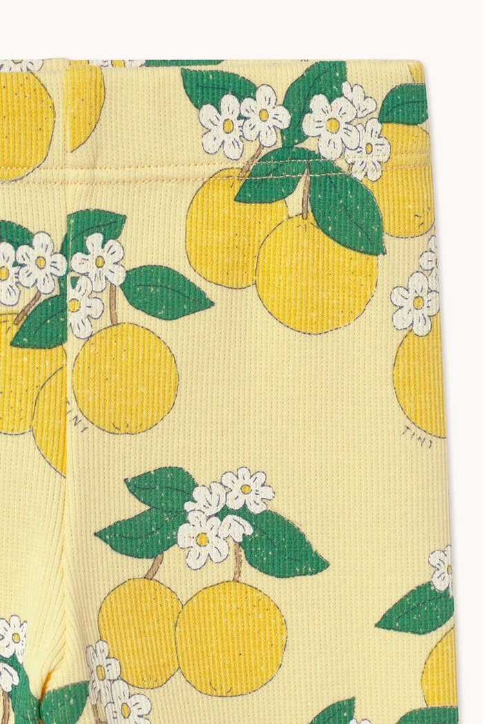 Dziewczynka Tinycottons legginsy niemowlęce ORANGES RIB BABY PANT SS26.117 żółty