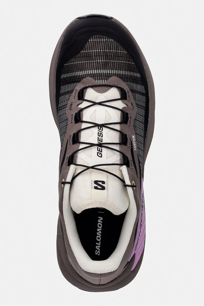 Salomon pantofi de antrenament GENESIS maro L47881000