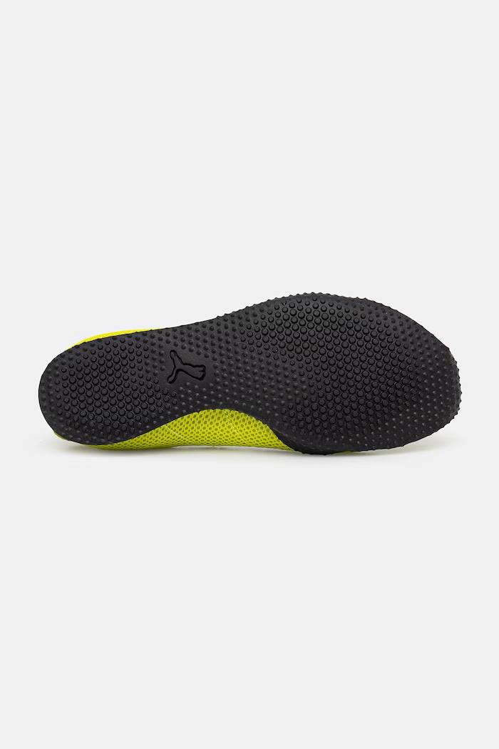 Puma H-Street Ballet WNS balerini 407820 verde
