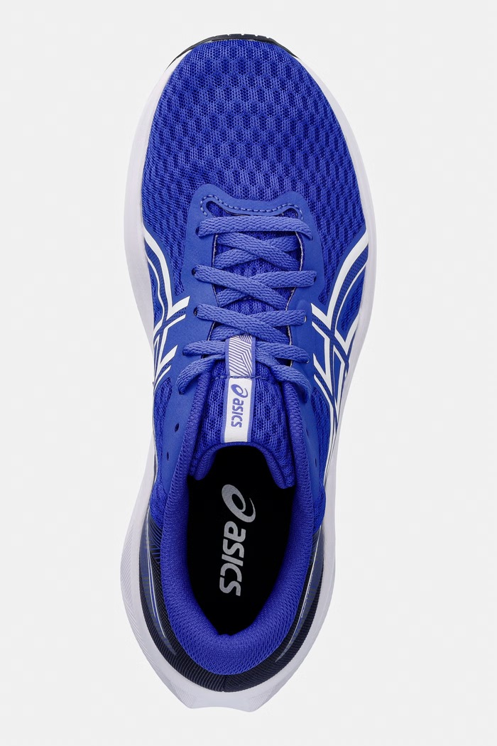 Asics pantofi de antrenament PATRIOT 14 violet 1011C050.402