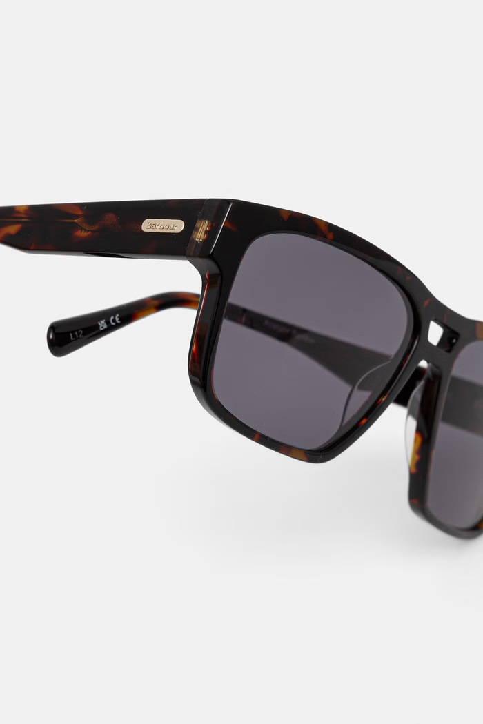 Barbour ochelari de soare pentru bărbați maro BAS.3106
