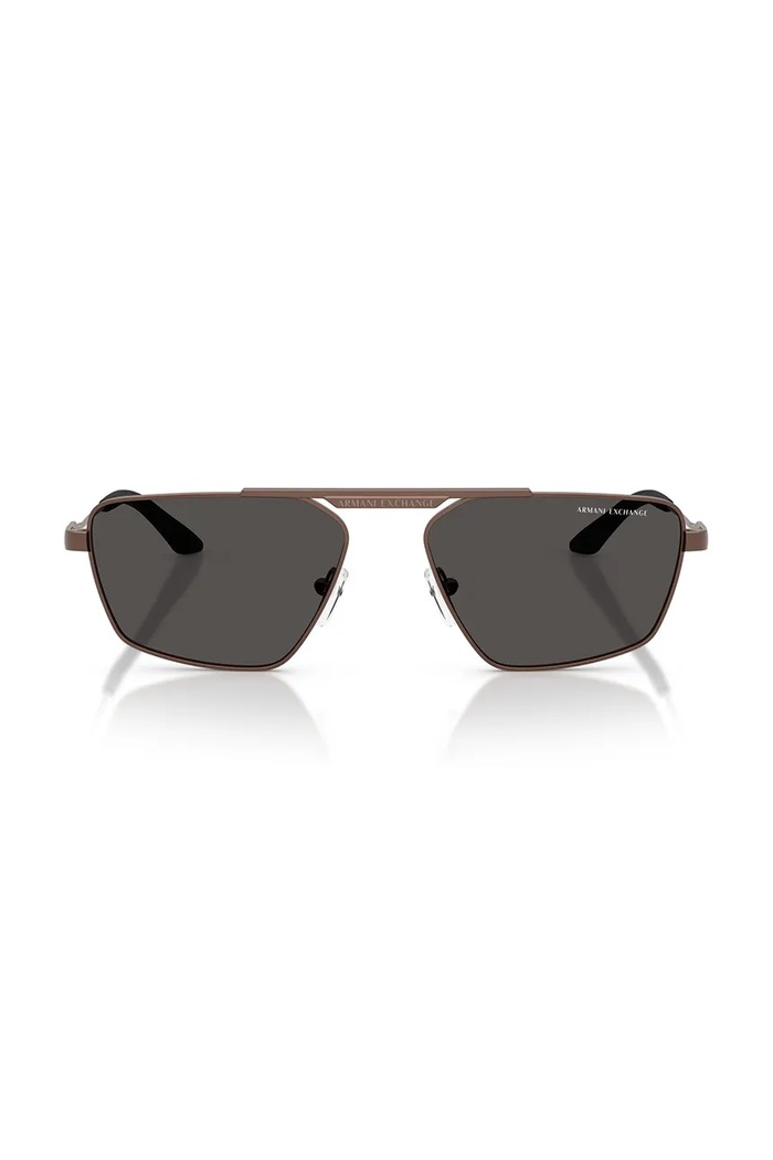 Armani Exchange sončna očala rjava 0AX2059S