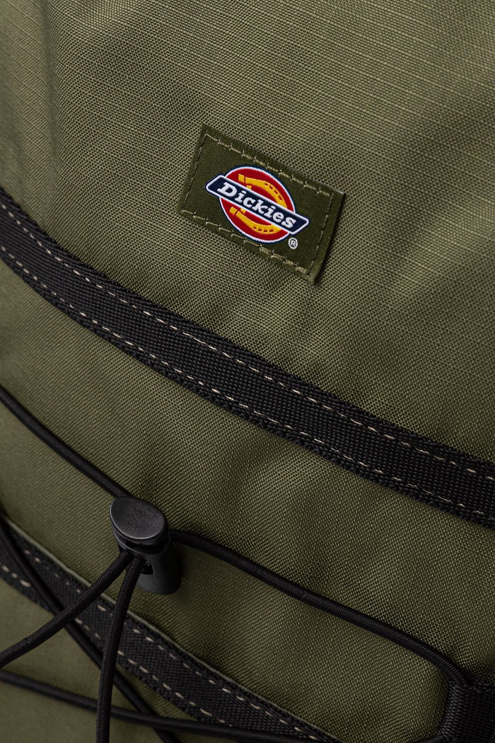 Nahrbtnik Dickies zelena DK0A4Y33K721