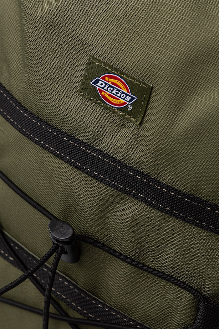 Nahrbtnik Dickies zelena DK0A4Y33K721