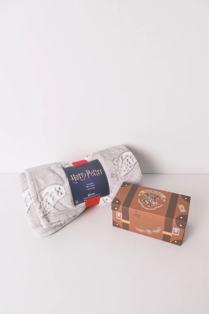Deka women'secret x HARRY POTTER 150 x 120 cm sivá 1372591