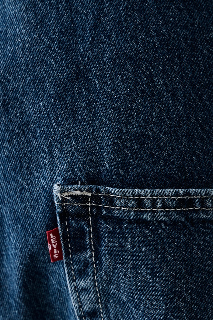 Levi's Ogrodniczki męskie LOOSE OVERALLS x WORKWEAR 0057W