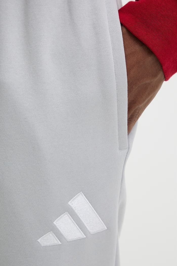 Hlače za trening adidas Performance Entrada26 siva JZ9139
