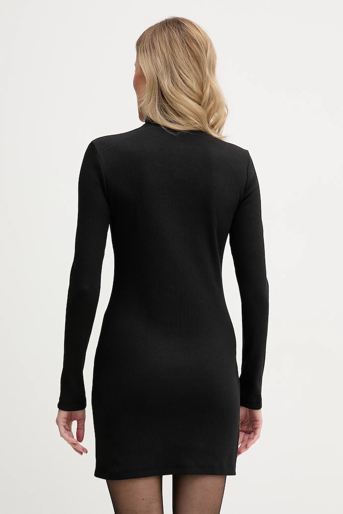 Oblečení Šaty Calvin Klein Jeans LV047E204G černá