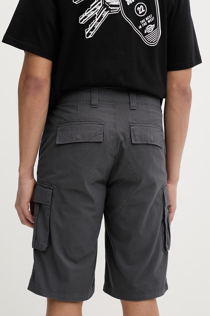 Oblečenie Dickies šortky cargo pánske bavlnené DK0A89EFCH01 sivá