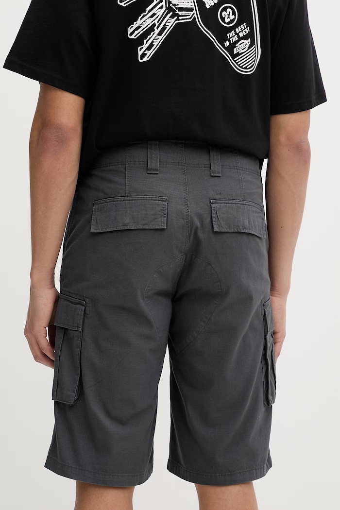 Oblečenie Dickies šortky cargo pánske bavlnené DK0A89EFCH01 sivá