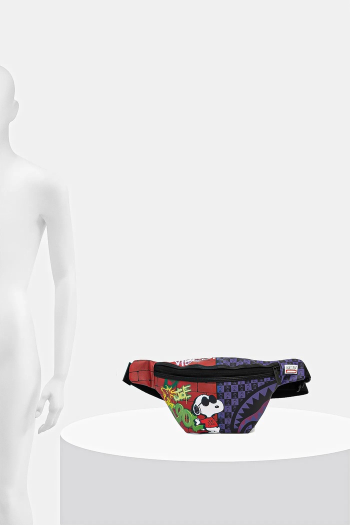 Ľadvinka Sprayground 910B8246NSZ