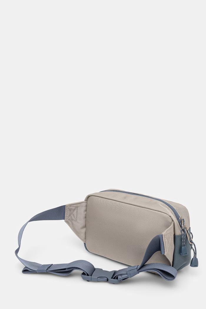 Accessories The North Face Base Camp Lumbar pouch NF0A8BK5L451 gray