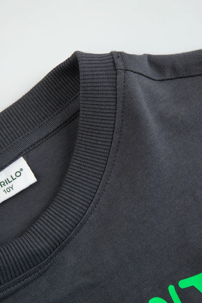 Chłopiec Coccodrillo t-shirt bawełniany dziecięcy WC6143210VBA szary