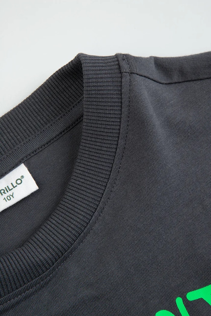 Chłopiec Coccodrillo t-shirt bawełniany dziecięcy WC6143210VBA szary