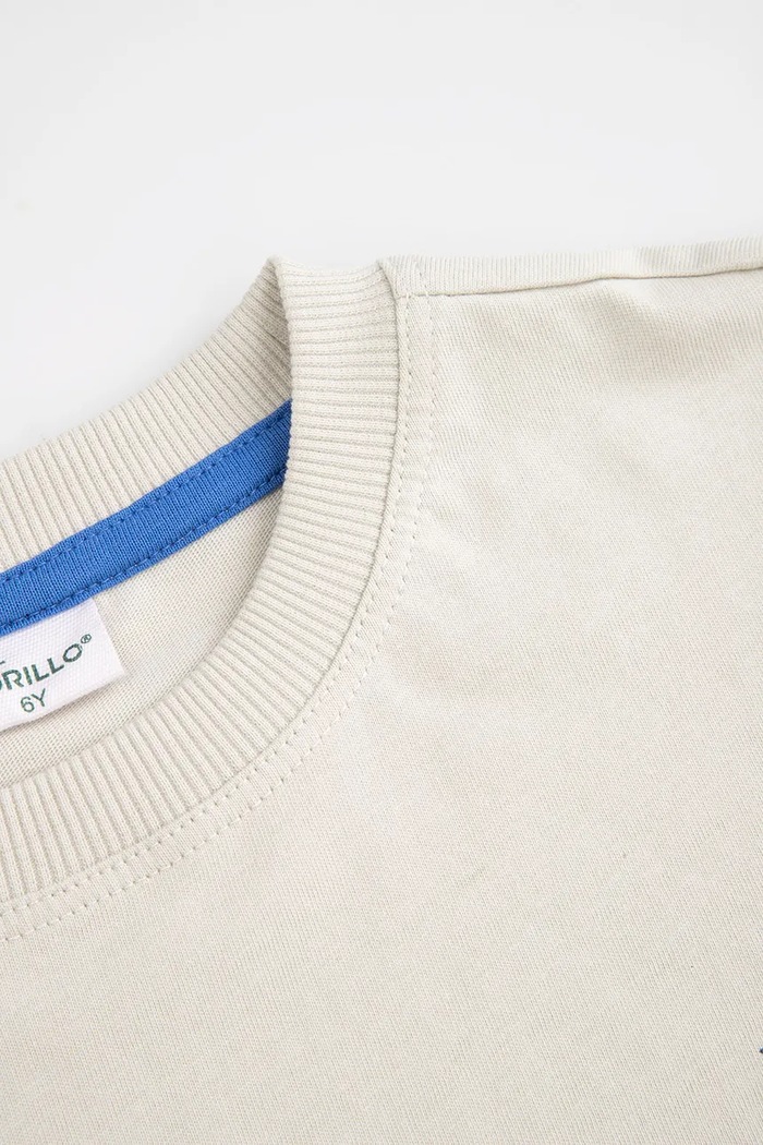 Chłopiec Coccodrillo t-shirt bawełniany dziecięcy WC6143204RBK szary
