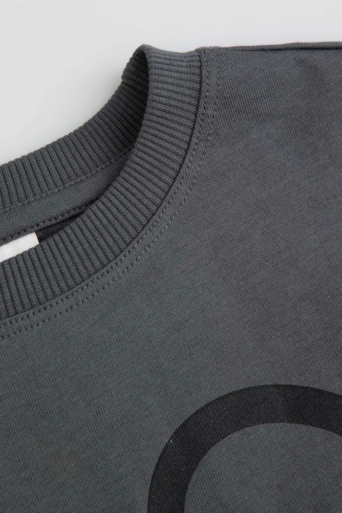 Chłopiec Coccodrillo T-shirt dziecięcy bawełniany WC6143207LBD szary