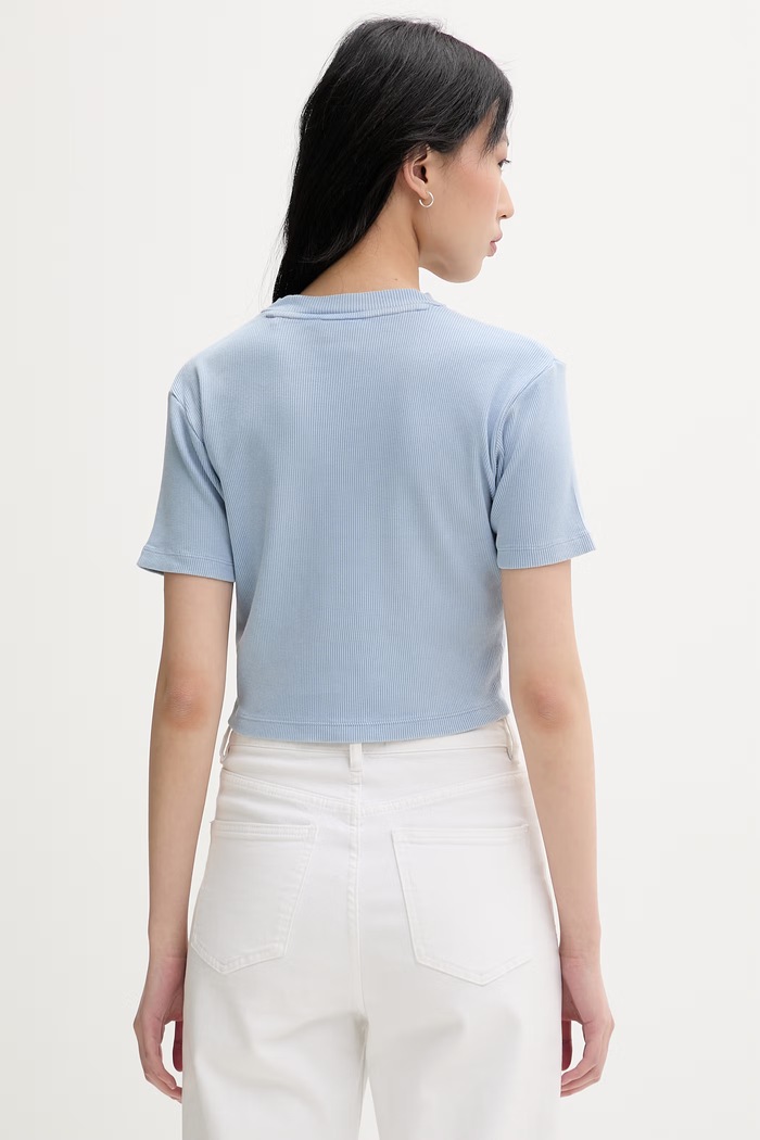 Abbigliamento Dickies t-shirt da donna in cotone DK0A866FL391 blu