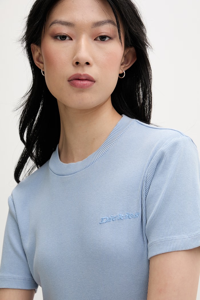 Dickies t-shirt da donna in cotone blu DK0A866FL391