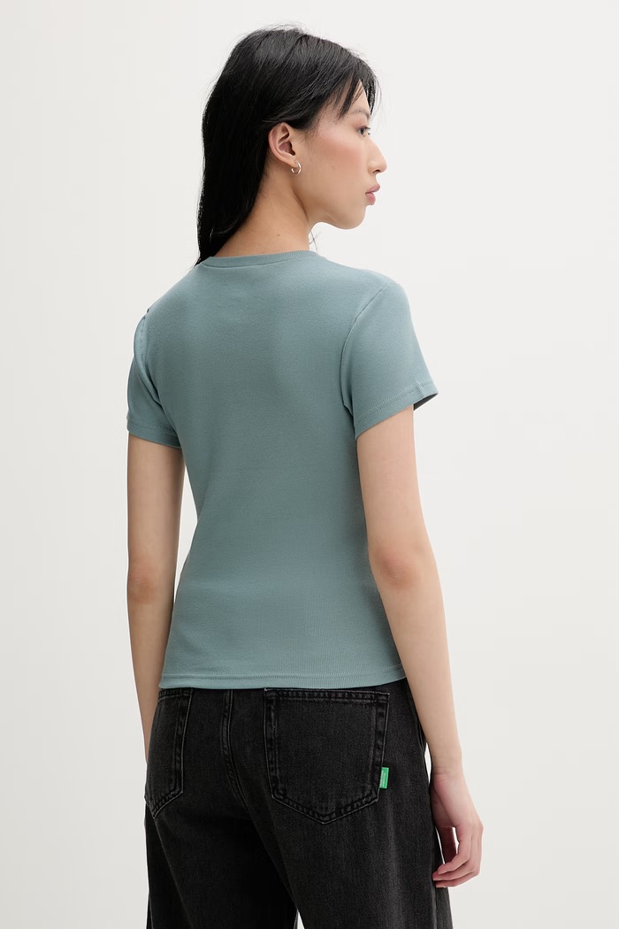 Abbigliamento Dickies t-shirt da donna con cotone DK0A87QBL371 turchese