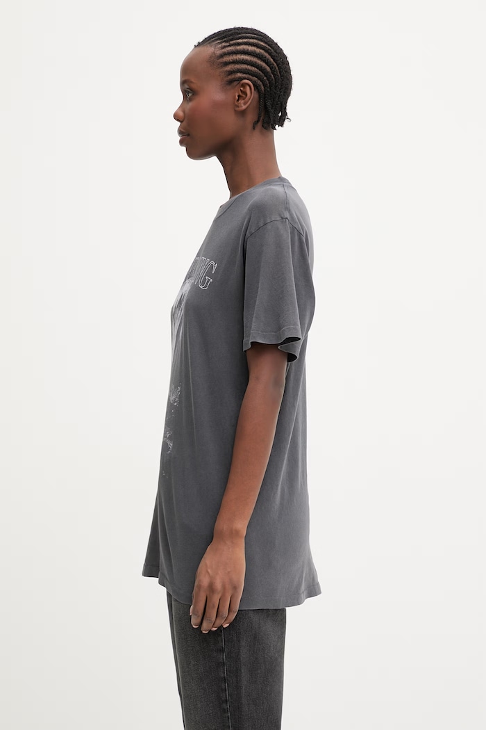 Anine Bing Lili Women's cotton t-shirt A.08.11713 gray SS26